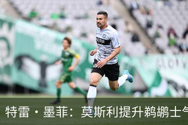 特雷·墨菲：莫斯利提升鹈鹕士气，他懂得如何与球员沟通